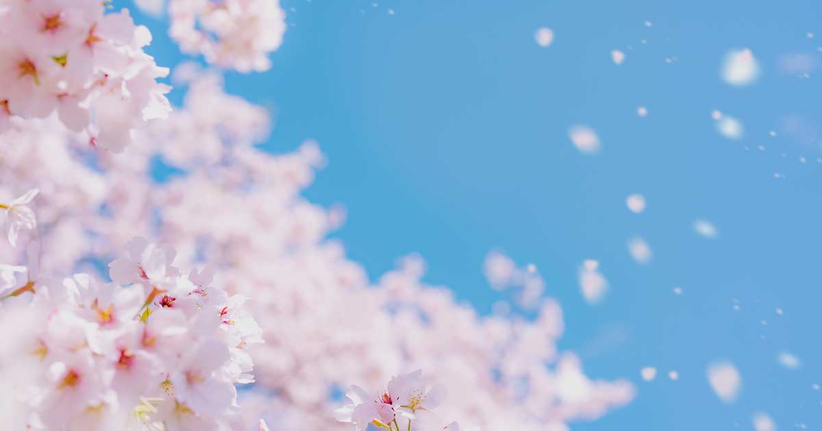 種も仕掛けもない、真夏の桜は空に還った･･･櫻井智と90年代、その熱き「僕たちの時代」追想（1）