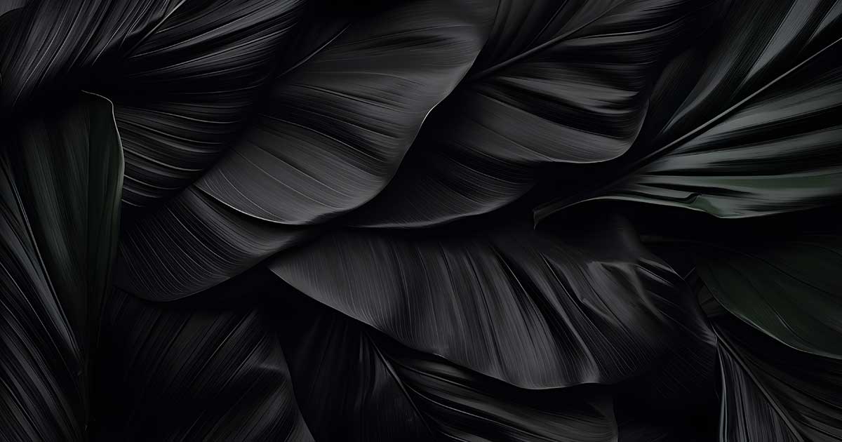 ずばり、練習着の「黒」が好き、三毒様が好き･･･私の思う羽生結弦の色「黒」