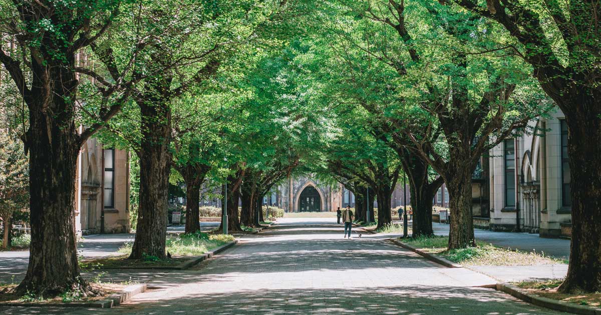 東大医学部卒医師「『AI時代だから受験勉強をする理由はない』は間違っている」…「SAPIXから鉄緑会」がこれからも東大合格の王道ルートであり続ける理由